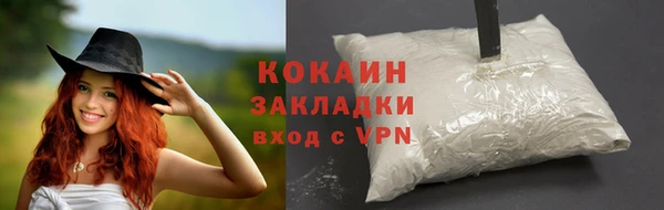 ГАЛЛЮЦИНОГЕННЫЕ ГРИБЫ Няндома