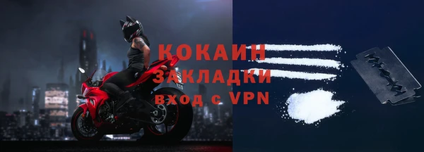 ГАЛЛЮЦИНОГЕННЫЕ ГРИБЫ Няндома