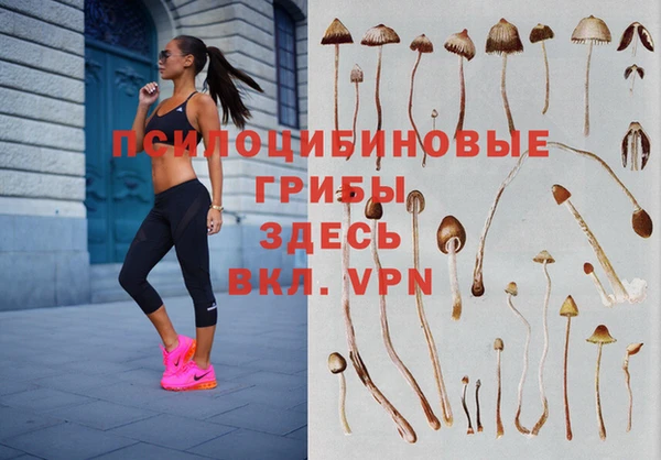 jwh Валдай