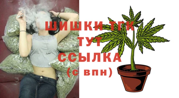 ГАЛЛЮЦИНОГЕННЫЕ ГРИБЫ Няндома